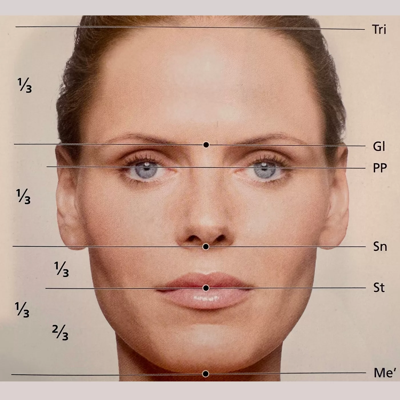 facial balancing with symmetry line