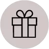Gift icon inside a light beige circle